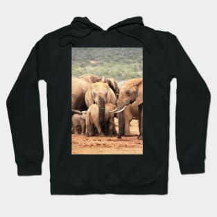 African Wildlife Photography Elephant Bodyguard Hoodie